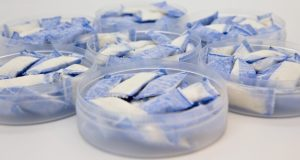 Leaked Documents Indicate EU Plans to Ban Nicotine Pouches – Vapecould