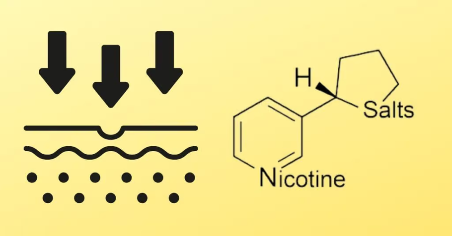 Nicotine Salt Absorption Rates in the Body: A Comprehensive Guide Introduction