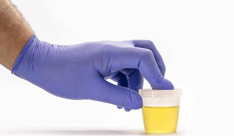 Vaping, Metabolic Health, and the Bigger Picture: Separating Facts from Fear