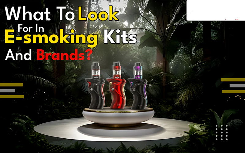 What To Look For In E-smoking Kits and Brands? – Vapecould