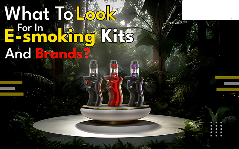 What To Look For In E-smoking Kits and Brands?